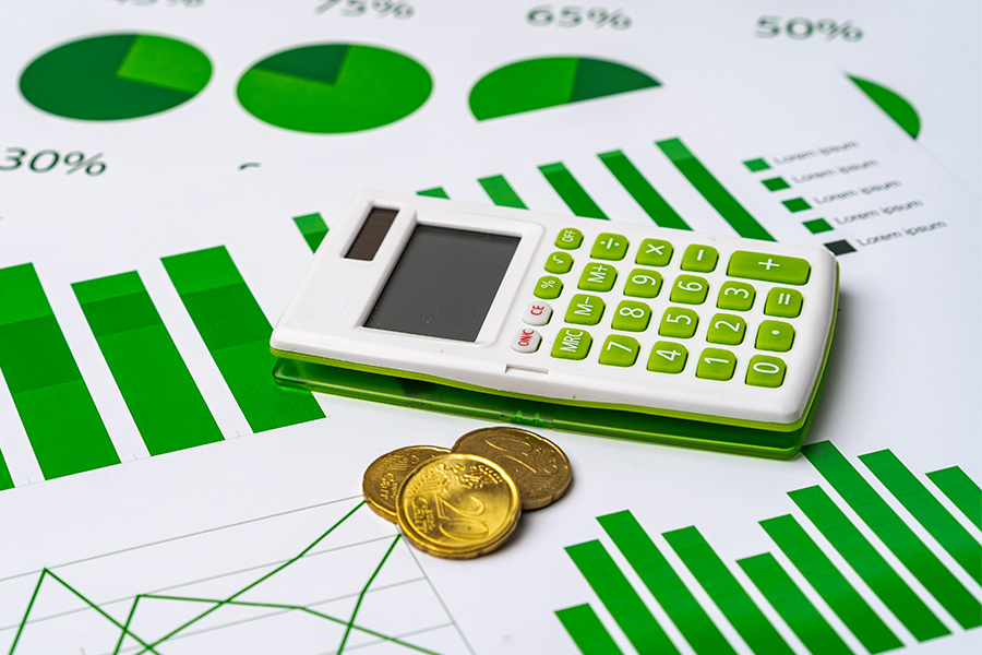 Mazilisa Accountants and Tax Consultants